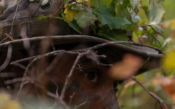 Woodland Surveillance with the ASOS