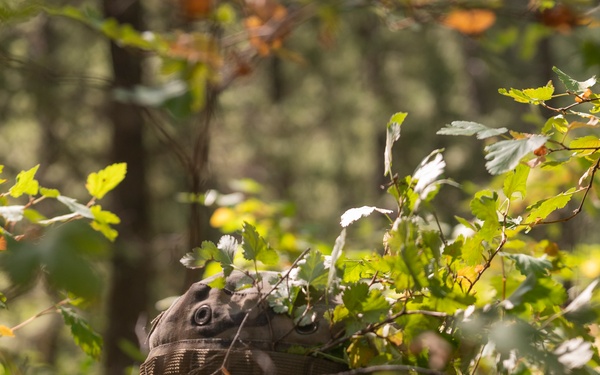 Woodland Surveillance with the ASOS