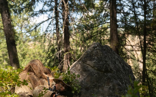 Woodland Surveillance with the ASOS