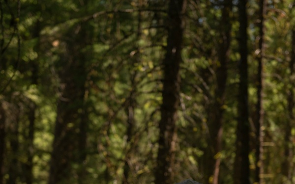 Woodland Surveillance with the ASOS