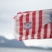 USCGC Bear (WMEC 901) Patrol