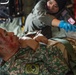 Multilateral SARX and Mass Casualty exercise wraps up Pacific Angel 22
