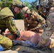 LRMC International TCCC event empowers U.S. allies and partners to be stronger together in combat medicine