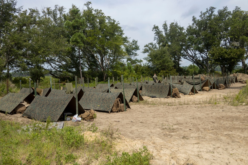 Combat Logistics Battalion 22 constructs fighting holes during its Marine Corps Combat Readiness Evaluation (Day 2)