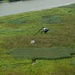 1st Helicopter Squadron Flies Over Maryland