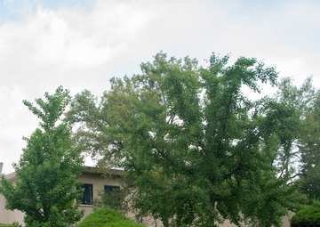 8th CES fire team conducts burning structural response training