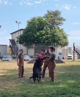 U.S. Army Cpl. Ricardo Blancarte, an animal care specialist assigned to the Spangdahlem Army Veterinary Treatment Facility