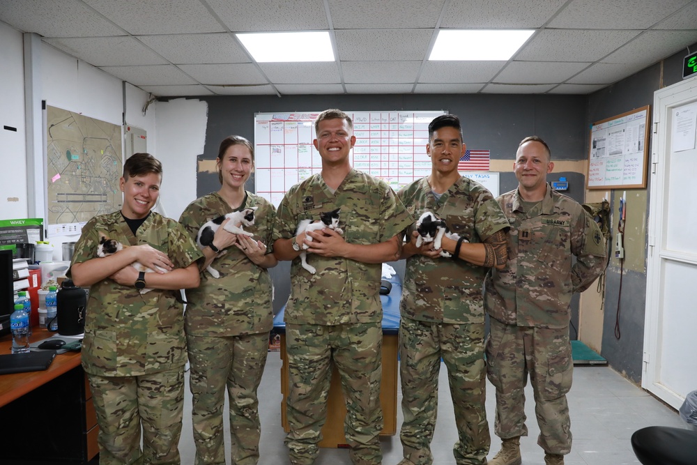 DVIDS - Images - Veterinary team conducts pest management to protect ...