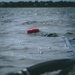 Combat Logistics Battalion 22 uses the Lightweight Water Purification System during its Marine Corps Combat Readiness Evaluation (Day 3)