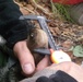 Army engineers partner for 25 years with federal biologists to study duck nesting ecology in Alaska