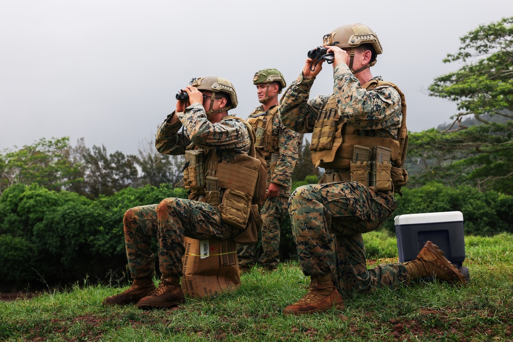 Bougainville I: 3d LCT Forward Observers