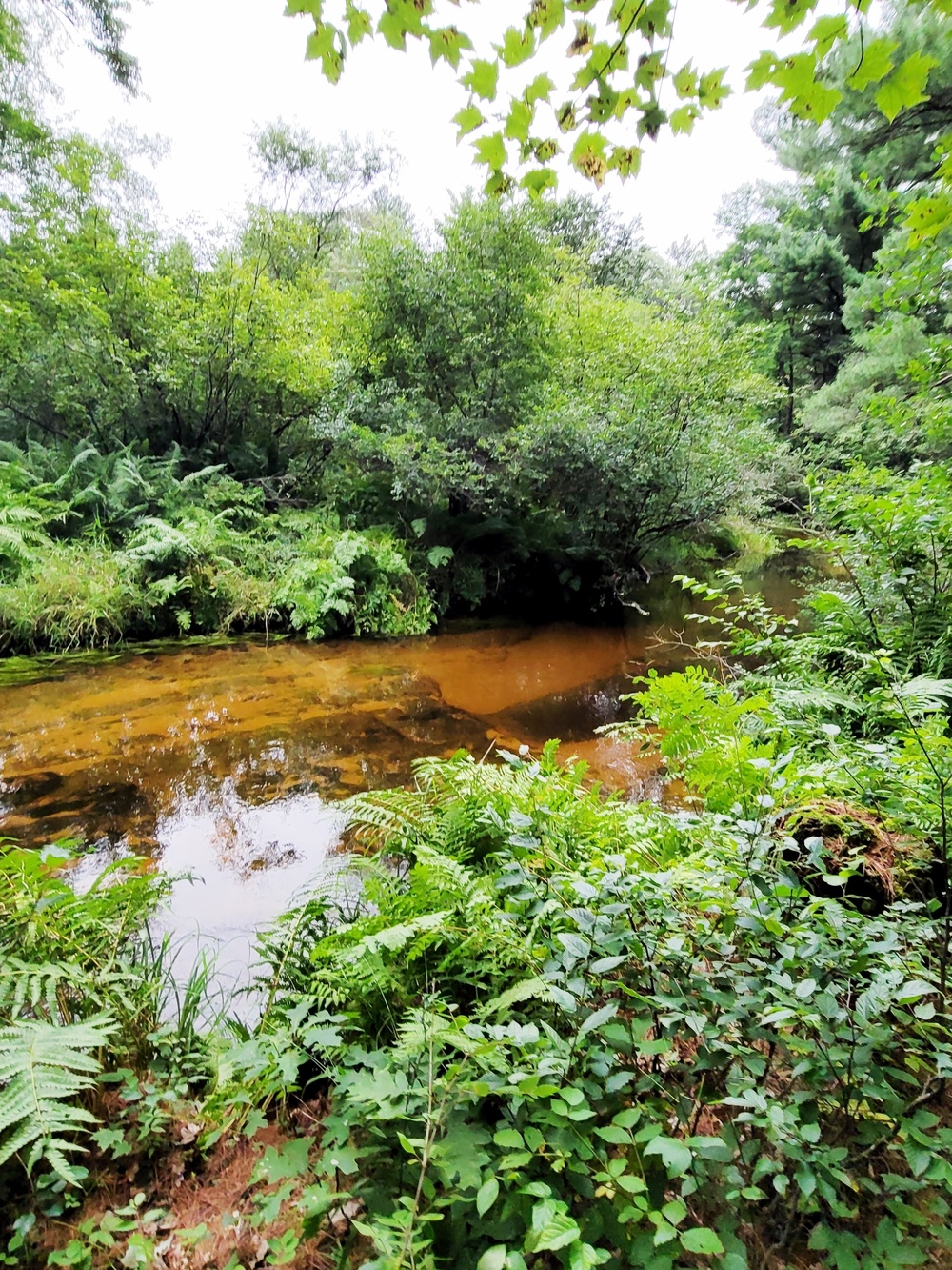 Fort McCoy's Pine View Recreation Area