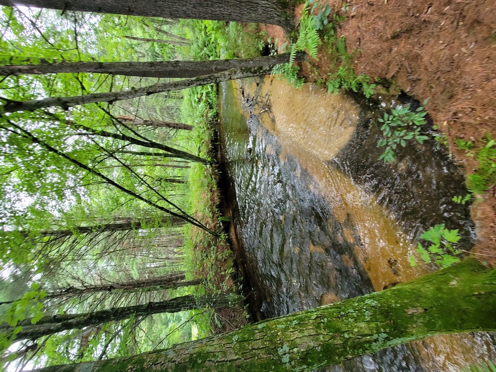 Fort McCoy's Pine View Recreation Area