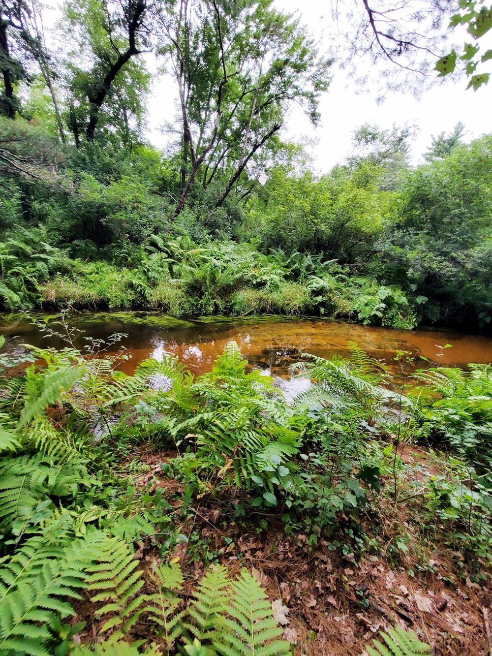 Fort McCoy's Pine View Recreation Area