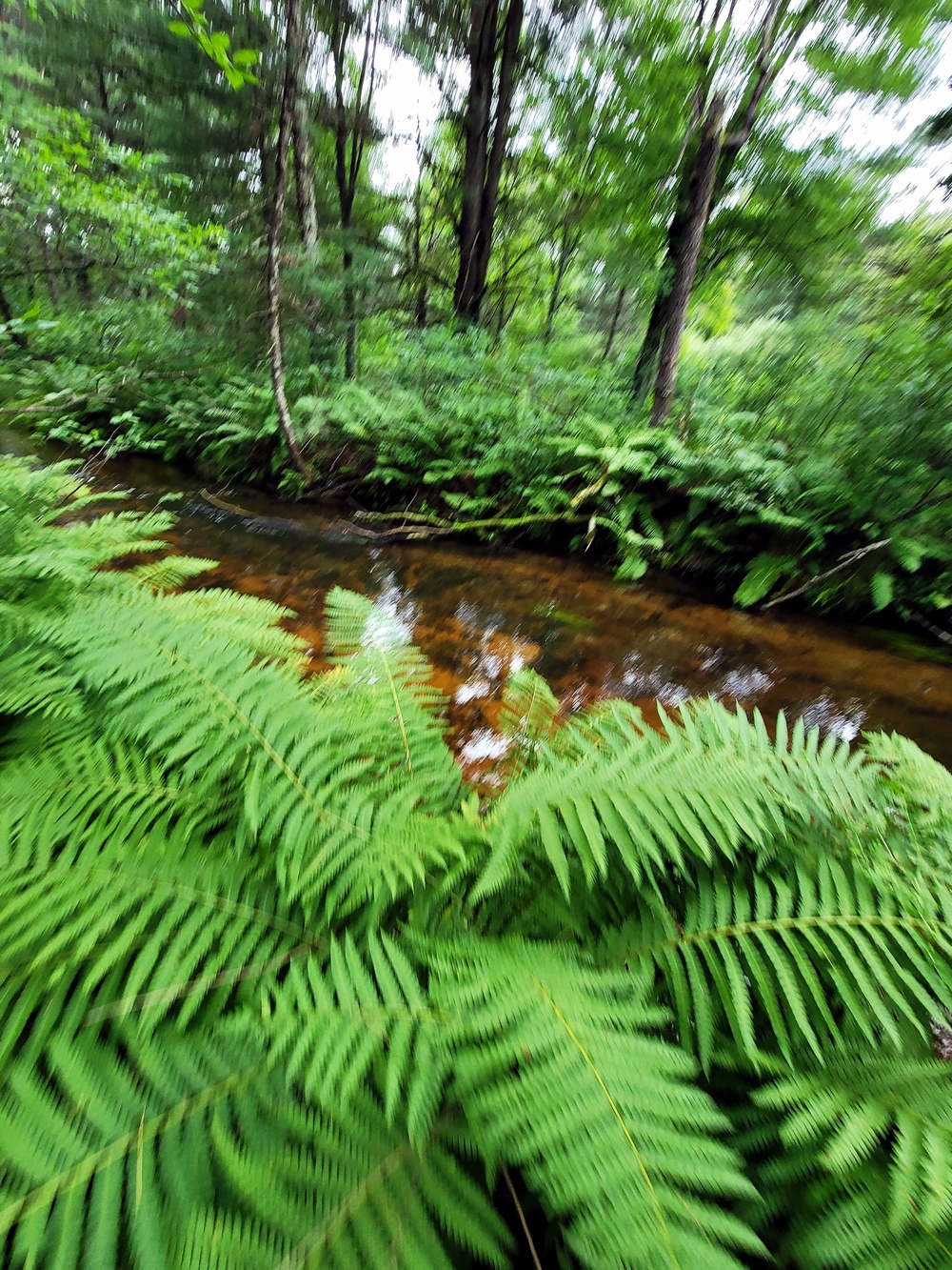 Fort McCoy's Pine View Recreation Area