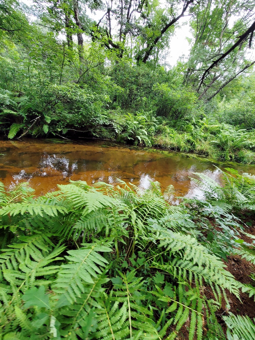 Fort McCoy's Pine View Recreation Area