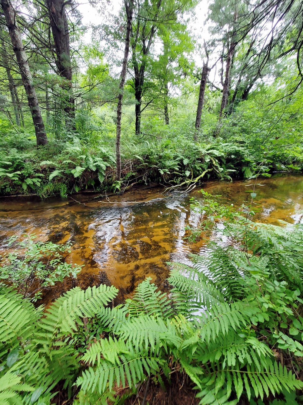 Fort McCoy's Pine View Recreation Area