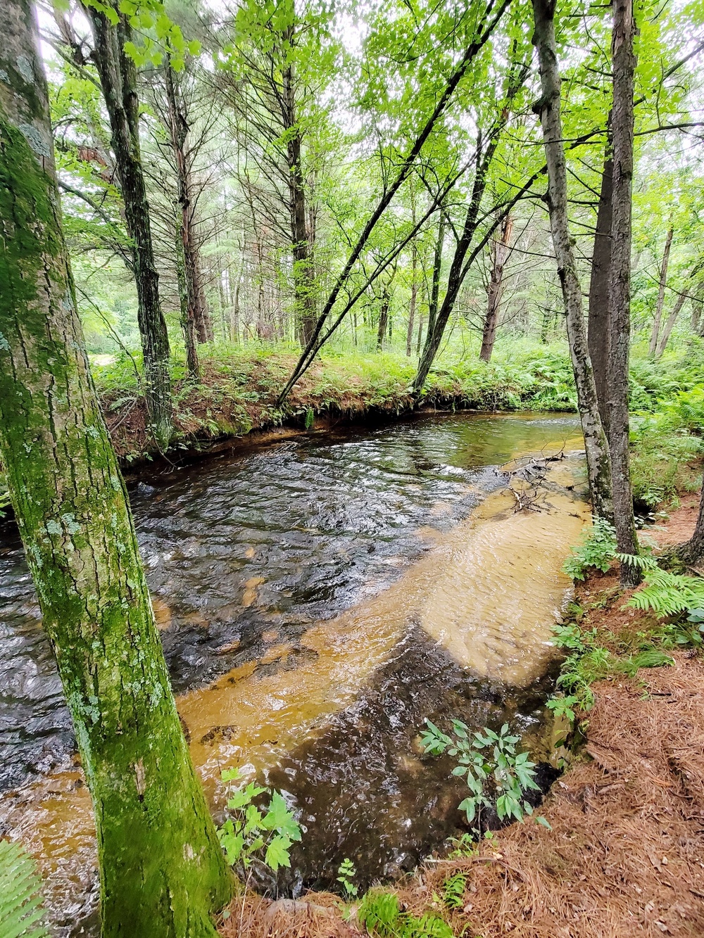 Fort McCoy's Pine View Recreation Area