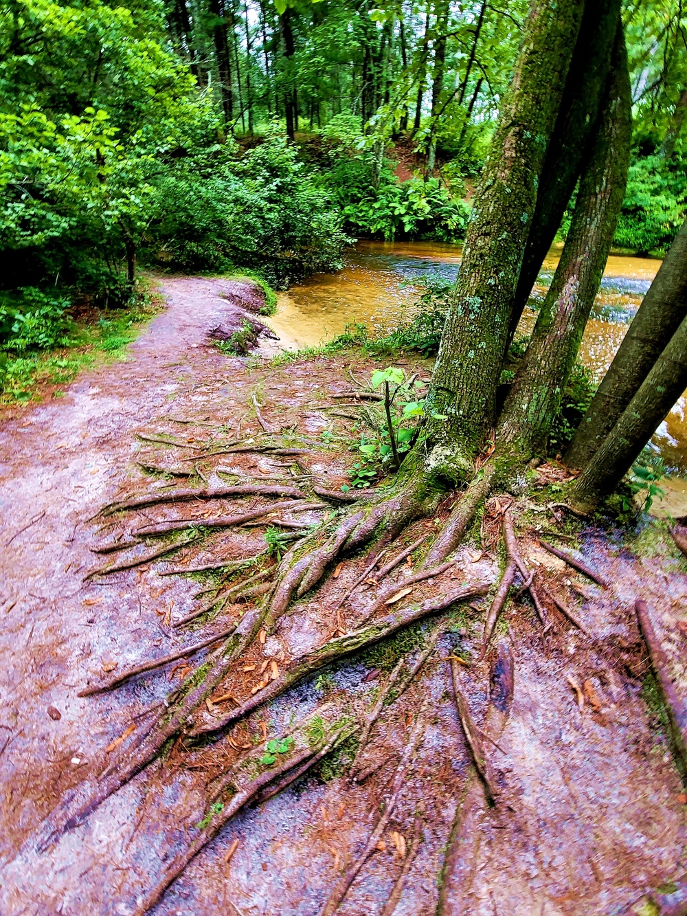 Fort McCoy's Pine View Recreation Area