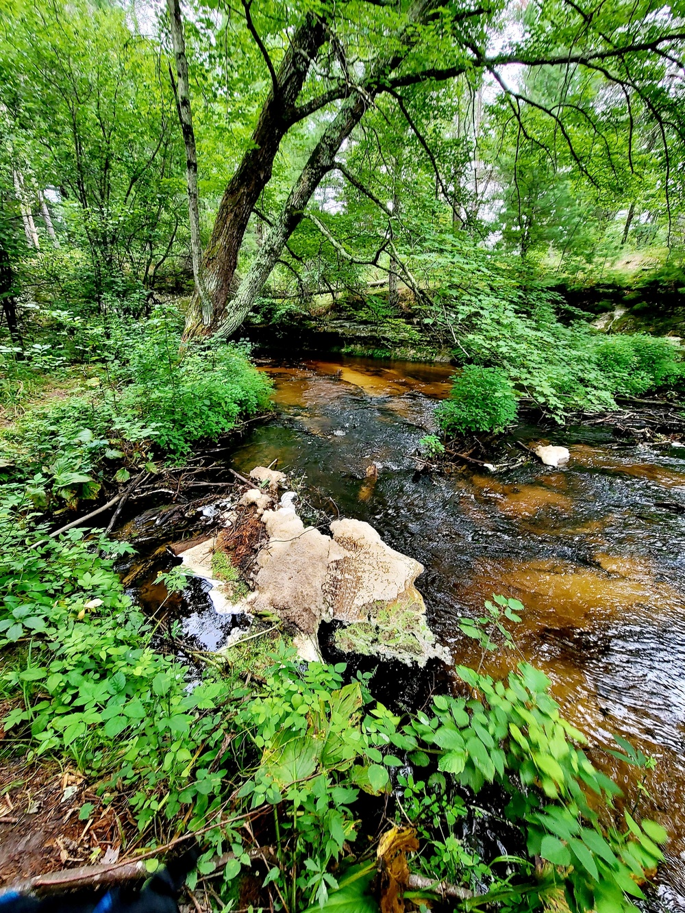 Fort McCoy's Pine View Recreation Area