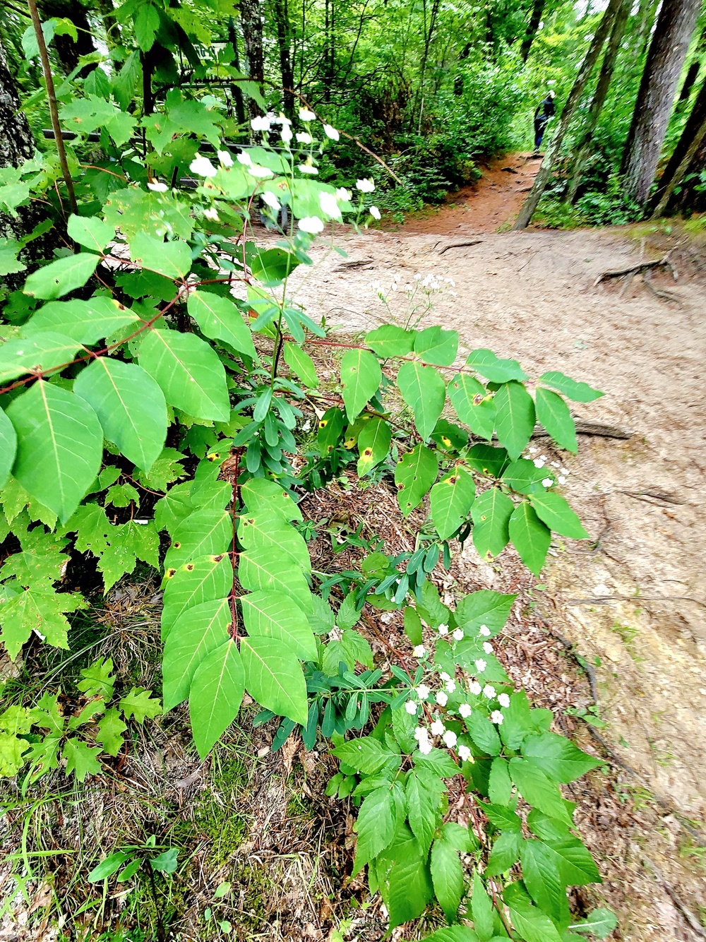 Fort McCoy's Pine View Recreation Area