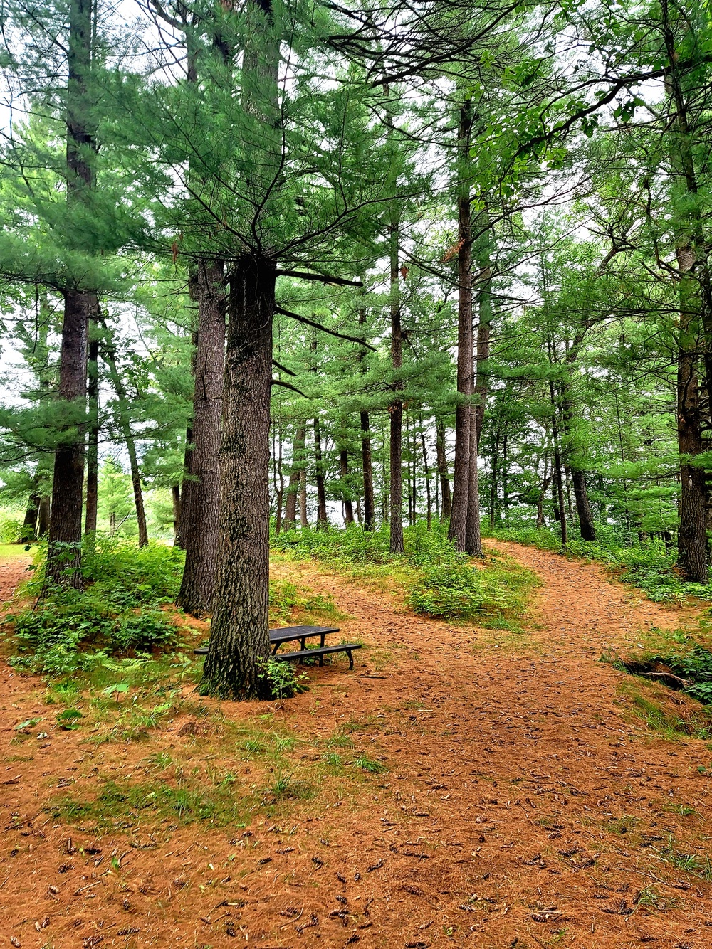 Fort McCoy's Pine View Recreation Area