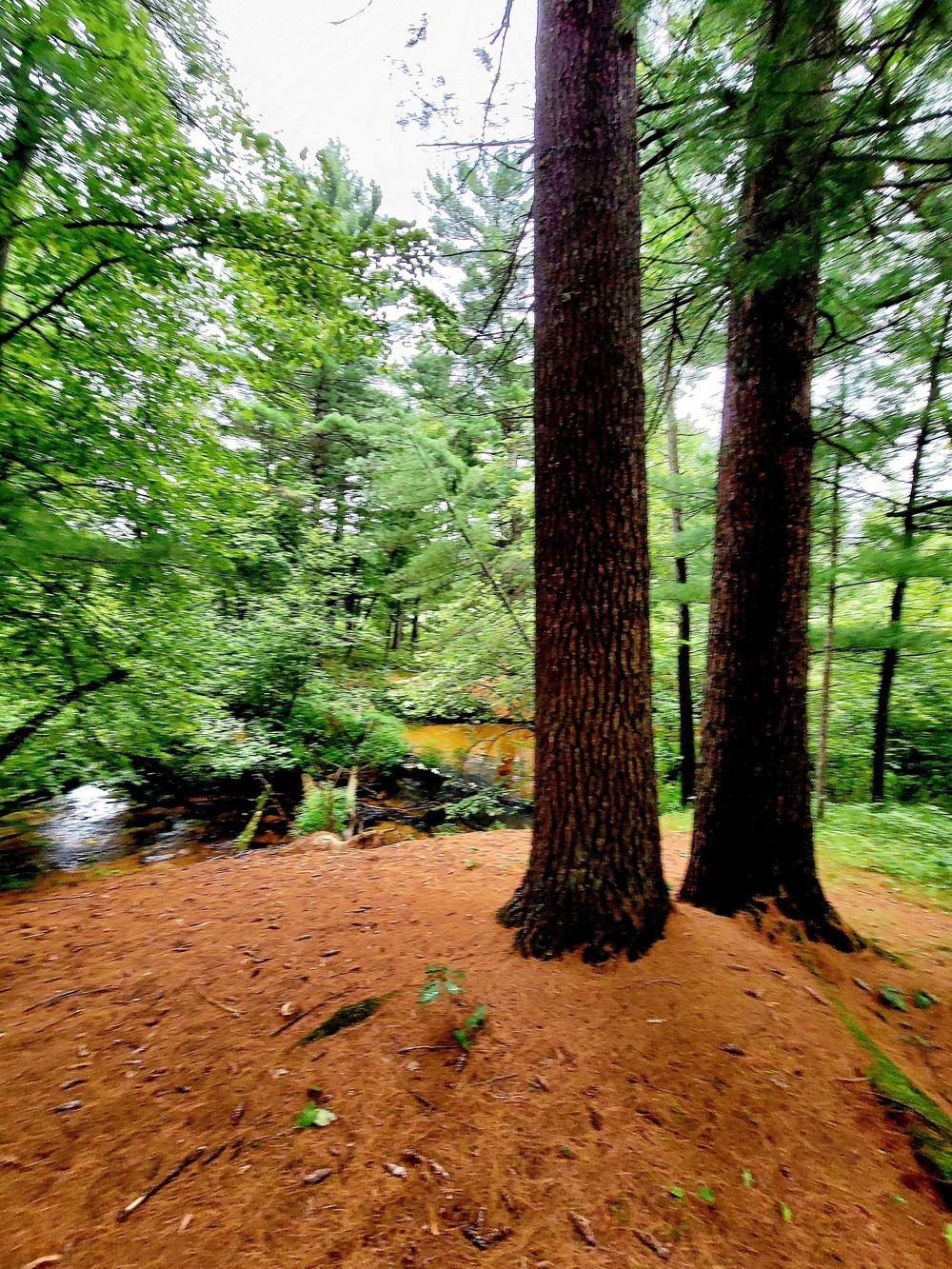 Fort McCoy's Pine View Recreation Area