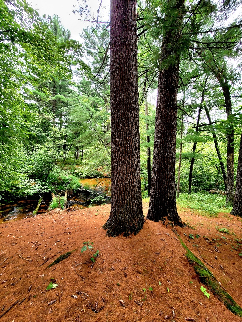 Fort McCoy's Pine View Recreation Area