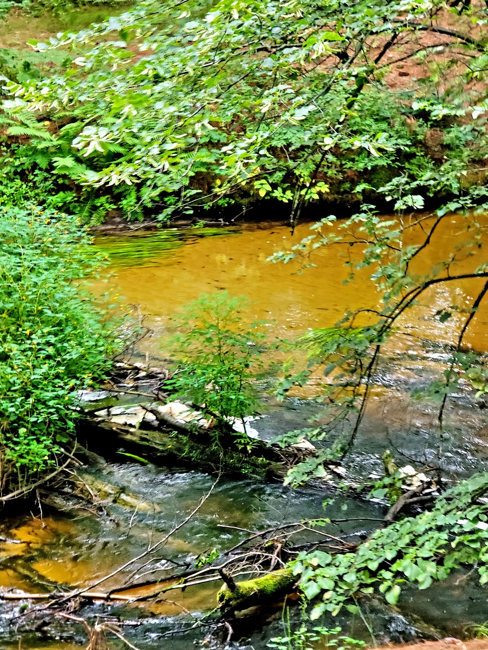 Fort McCoy's Pine View Recreation Area