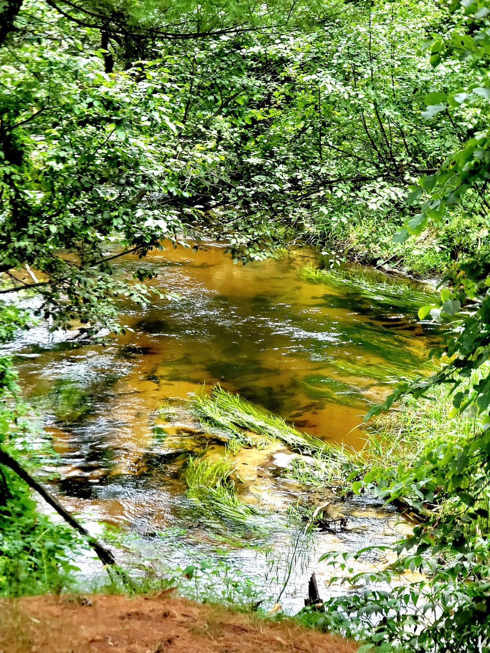 Fort McCoy's Pine View Recreation Area