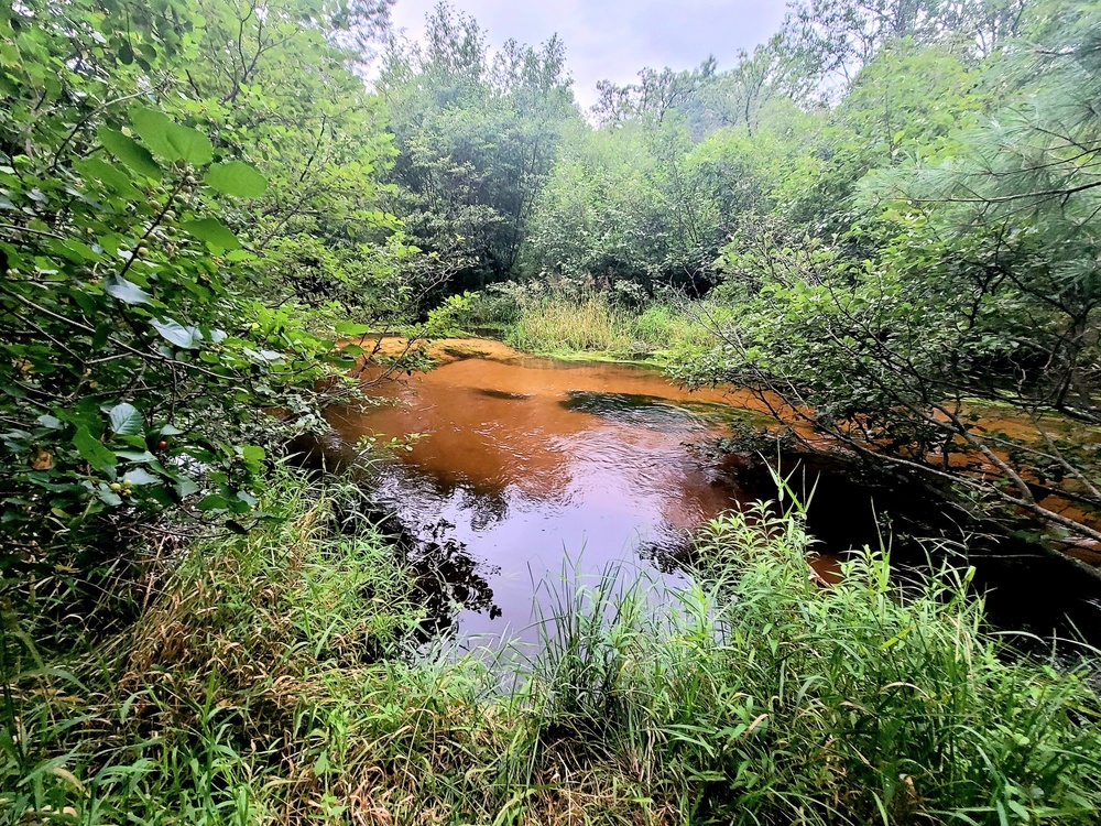 Fort McCoy's Pine View Recreation Area