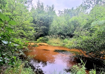Fort McCoy's Pine View Recreation Area