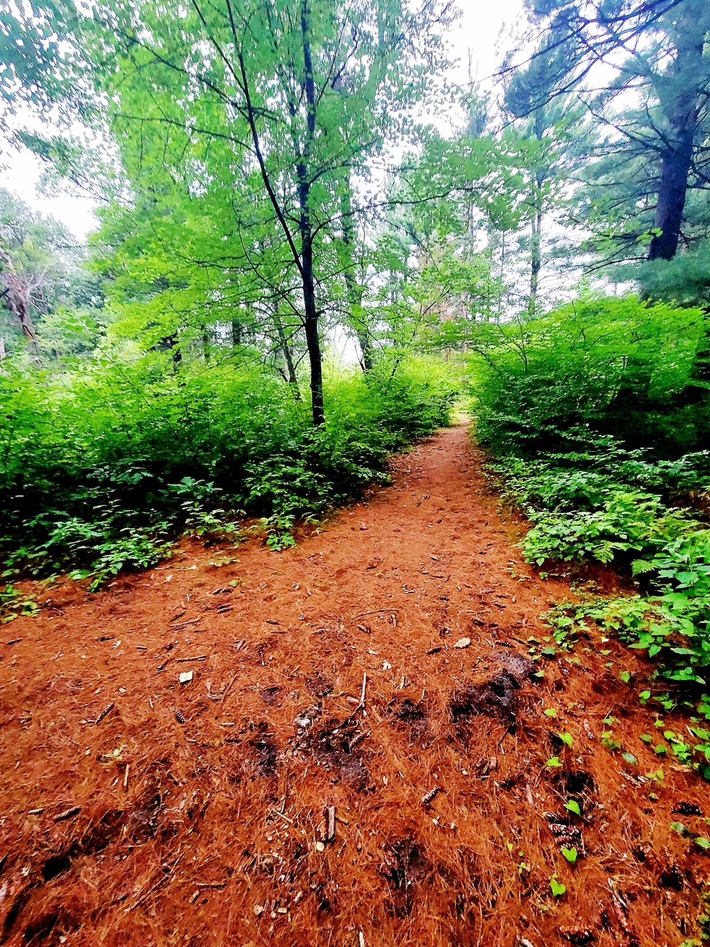 Fort McCoy's Pine View Recreation Area