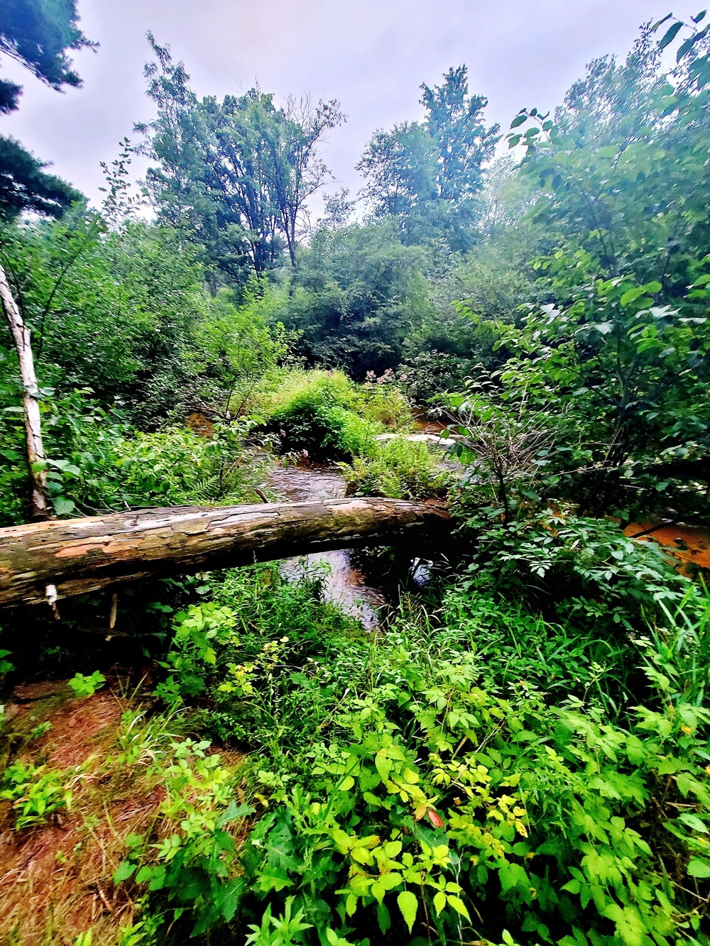 Fort McCoy's Pine View Recreation Area