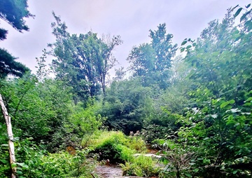 Fort McCoy's Pine View Recreation Area