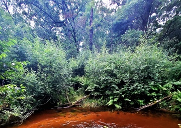 Fort McCoy's Pine View Recreation Area