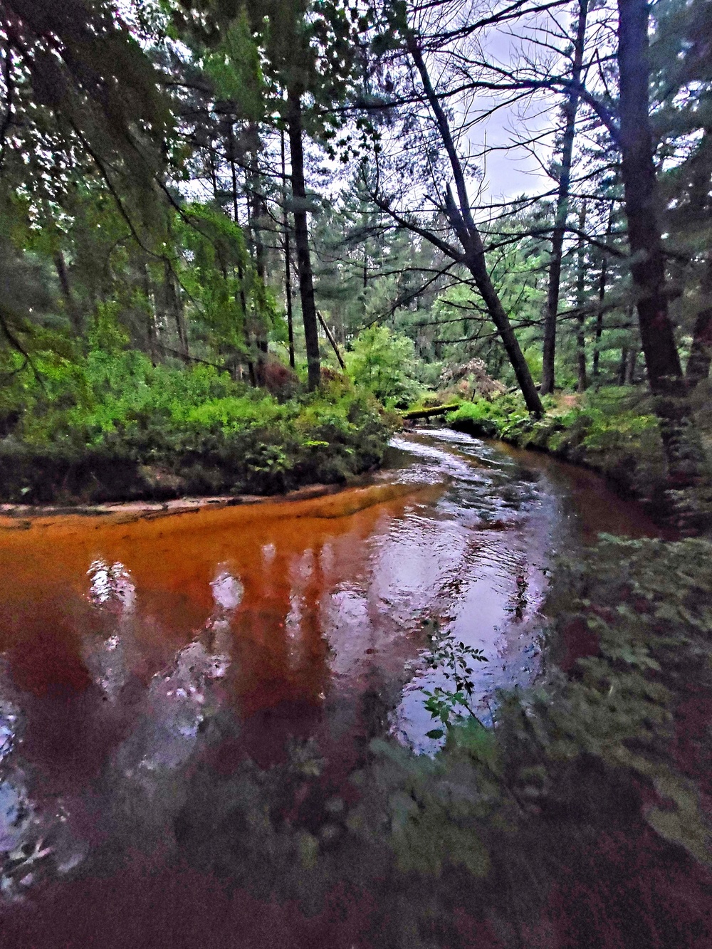 Fort McCoy's Pine View Recreation Area