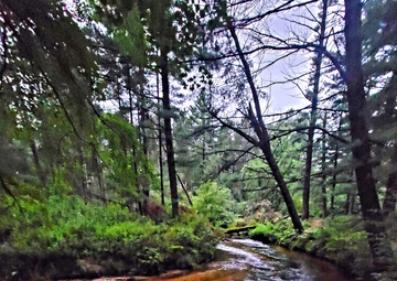 Fort McCoy's Pine View Recreation Area