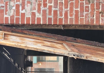 Damaged Curiosity Shop