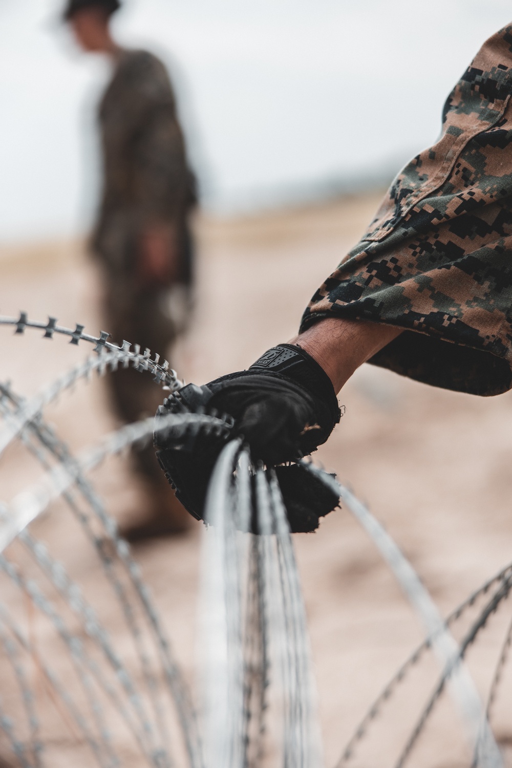 Combat Logistics Battalion 22 constructs a demolition range during its Marine Corps Combat Readiness Evaluation (Day 4)