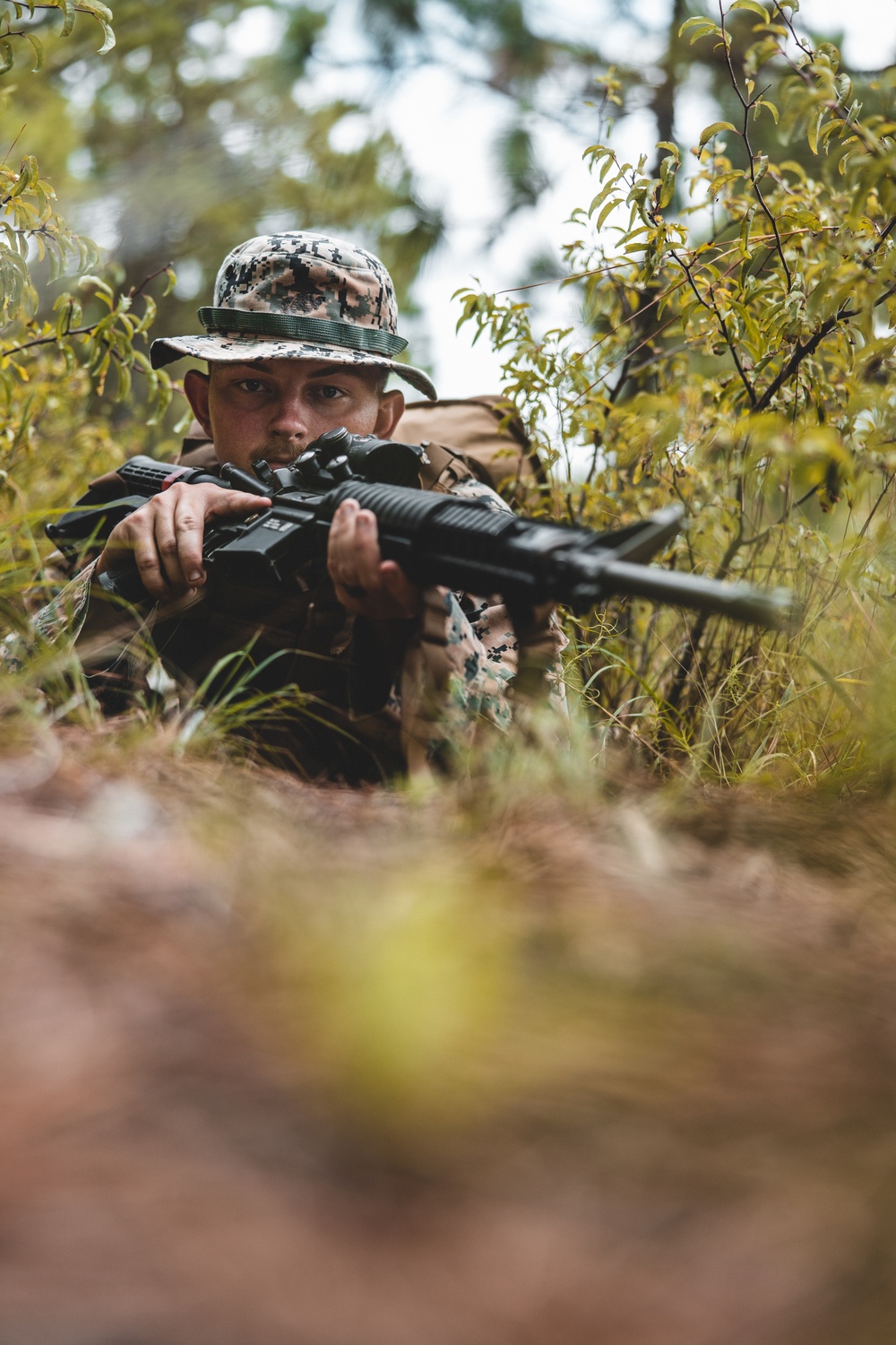 Combat Logistics Battalion 22 constructs a demolition range during its Marine Corps Combat Readiness Evaluation (Day 4)