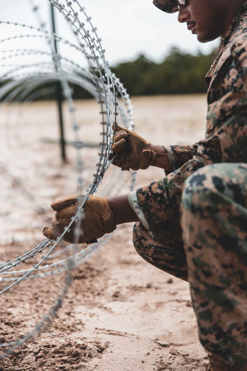 Combat Logistics Battalion 22 constructs a demolition range during its Marine Corps Combat Readiness Evaluation (Day 4)