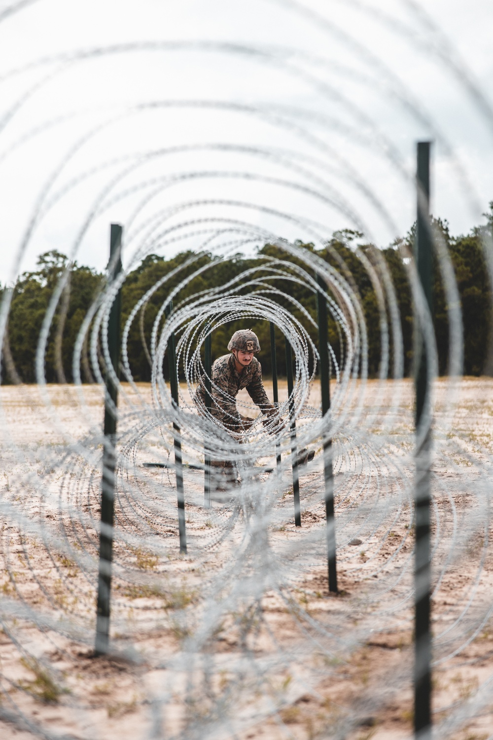 Combat Logistics Battalion 22 constructs a demolition range during its Marine Corps Combat Readiness Evaluation (Day 4)