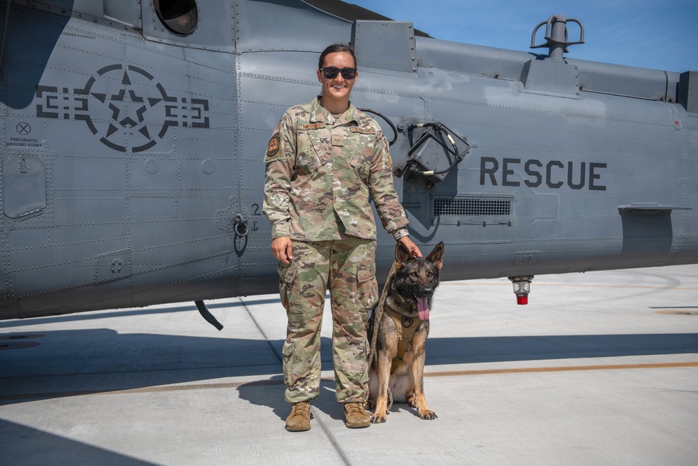 Military Working Dog trains with 920th Rescue Wing