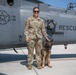 Military Working Dog trains with 920th Rescue Wing