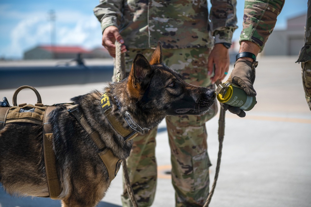 Military working Dog trains with 920th Rescue Wing