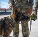 Military working Dog trains with 920th Rescue Wing