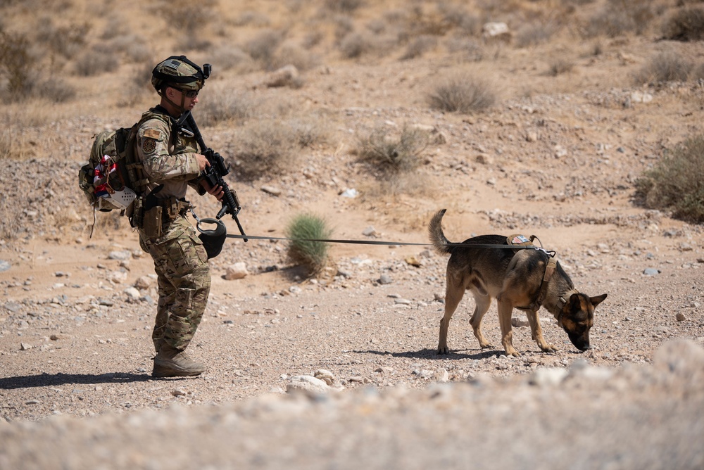 DVIDS - Images - K9 EOD Joint Training [Image 2 of 10]