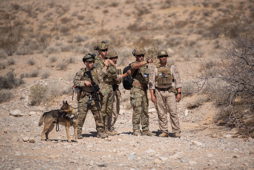 K9 EOD Joint Training