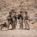 K9 EOD Joint Training